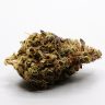 solomon grundy hybrid cannabis high tac flower