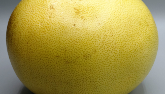Organic Pomelo Fruit