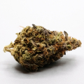 Solomon Grundy – High TAC – Hybrid Cannabis Flower